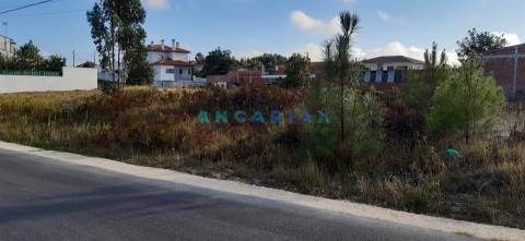 ANG960 - Terreno para Construção, para Venda na zona de Monte Real, em Leiria