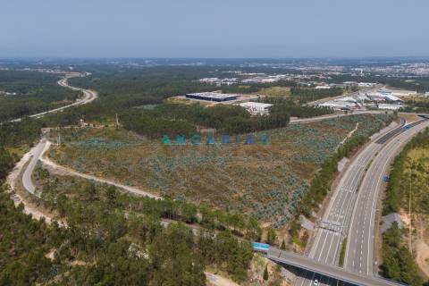 ANG390 - Terreno Industrial para Venda na Barosa, Leiria