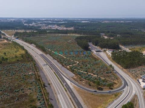 ANG390 - Terreno Industrial para Venda na Barosa, Leiria