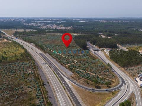 ANG390 - Terreno Industrial para Venda na Barosa, Leiria