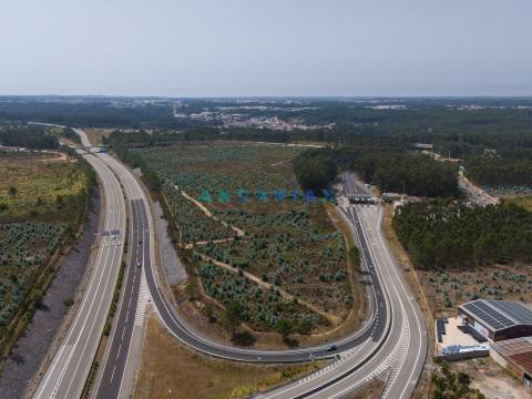 ANG390 - Terreno Industrial para Venda na Barosa, Leiria