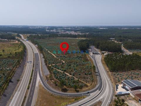 ANG390 - Terreno Industrial para Venda na Barosa, Leiria