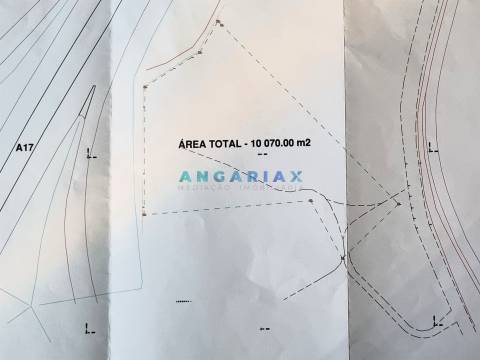 ANG989 - Terreno de 1 ha para Venda em Marinha Grande