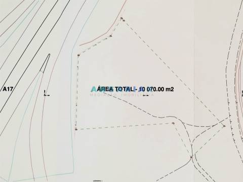 ANG989 - Terreno de 1 ha para Venda em Marinha Grande