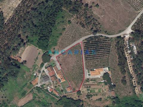 ANG1016 - Terreno de 3345m2 à Venda em Maceira, Leiria