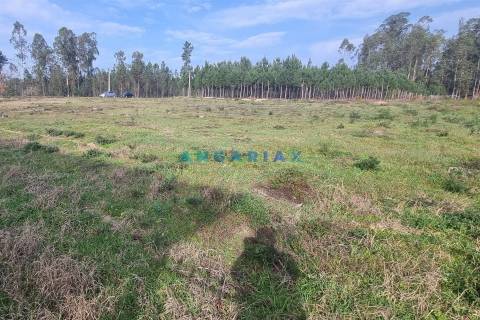 ANG1016 - Terreno de 3345m2 à Venda em Maceira, Leiria