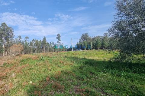 ANG1017 - Terreno de 4174m2 à Venda em Maceira, Leiria