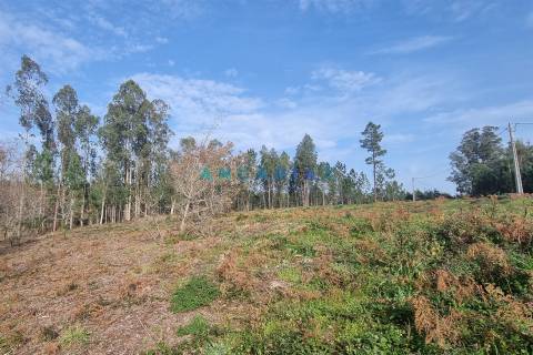 ANG1017 - Terreno de 4174m2 à Venda em Maceira, Leiria
