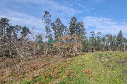 ANG1017 - Terreno de 4174m2 à Venda em Maceira, Leiria
