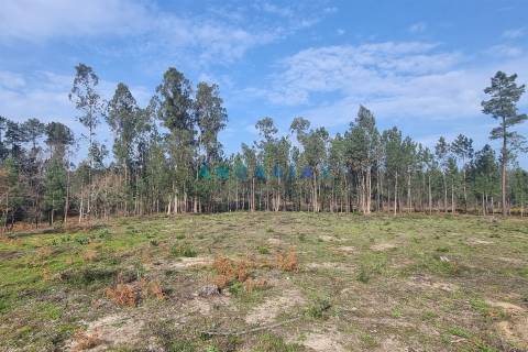 ANG1017 - Terreno de 4174m2 à Venda em Maceira, Leiria