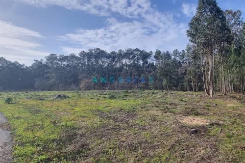 ANG1017 - Terreno de 4174m2 à Venda em Maceira, Leiria