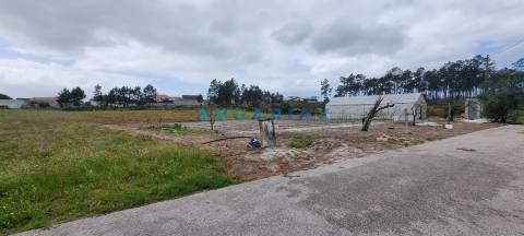 ANG1038 - Terreno para Venda em Fonte Cova, Monte Redondo, Leiria