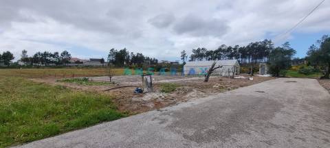 ANG1038 - Terreno para Venda em Fonte Cova, Monte Redondo, Leiria