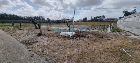 ANG1038 - Terreno para Venda em Fonte Cova, Monte Redondo, Leiria
