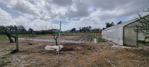 ANG1038 - Terreno para Venda em Fonte Cova, Monte Redondo, Leiria