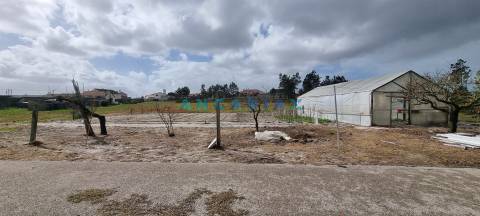 ANG1038 - Terreno para Venda em Fonte Cova, Monte Redondo, Leiria