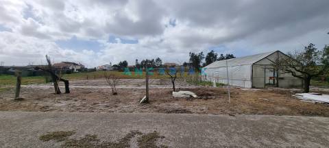 ANG1038 - Terreno para Venda em Fonte Cova, Monte Redondo, Leiria