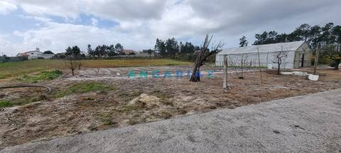 ANG1038 - Terreno para Venda em Fonte Cova, Monte Redondo, Leiria