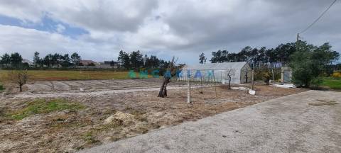 ANG1038 - Terreno para Venda em Fonte Cova, Monte Redondo, Leiria