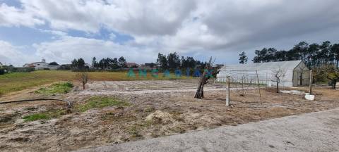ANG1038 - Terreno para Venda em Fonte Cova, Monte Redondo, Leiria