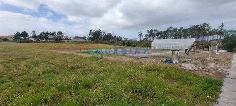 ANG1038 - Terreno para Venda em Fonte Cova, Monte Redondo, Leiria