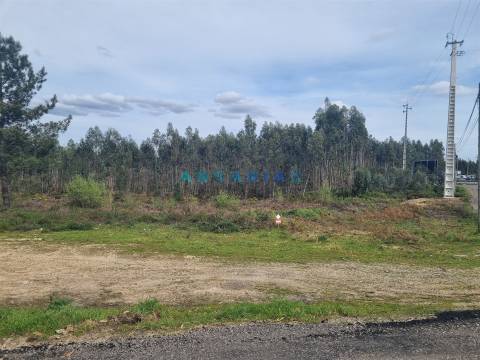 Terreno  Venda em Marinha Grande,Marinha Grande