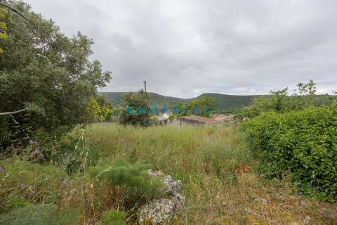 ANG1101 - Barracão para Venda em Alcaria, Porto de Mós