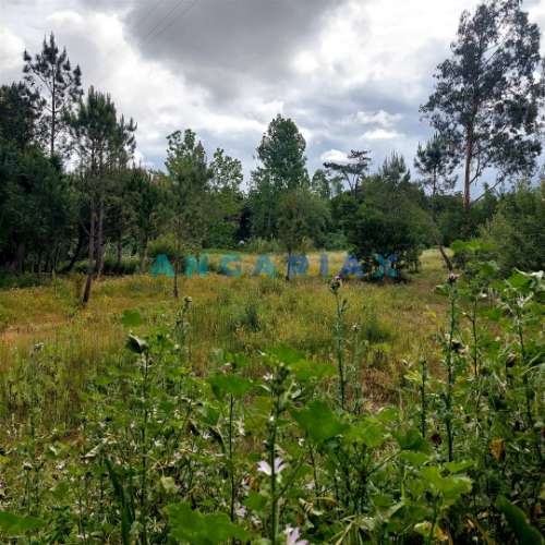 ANG1121 - Ruína para Venda em Cantanhede, Coimbra