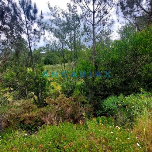 ANG1121 - Ruína para Venda em Cantanhede, Coimbra