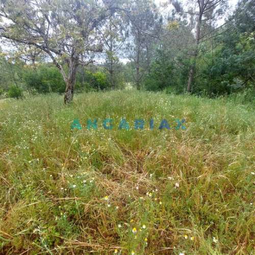 ANG1121 - Ruína para Venda em Cantanhede, Coimbra