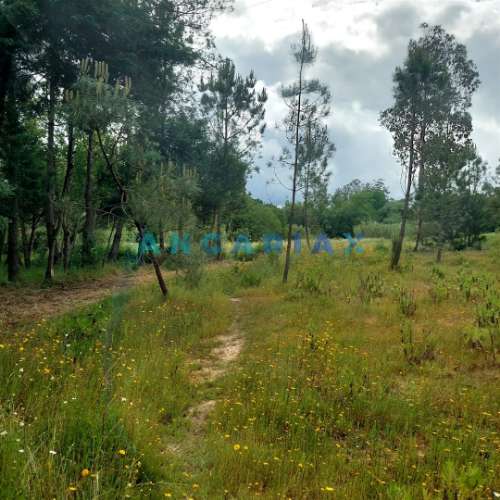 ANG1121 - Ruína para Venda em Cantanhede, Coimbra