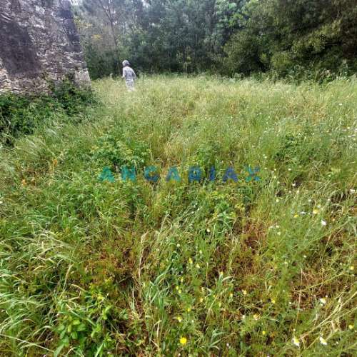 ANG1121 - Ruína para Venda em Cantanhede, Coimbra