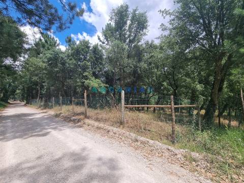 ANG1153  - Terreno para Venda em Porto de Mós