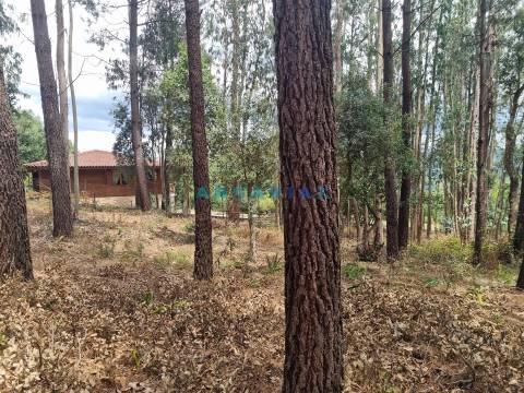 ANG1153  - Terreno para Venda em Porto de Mós