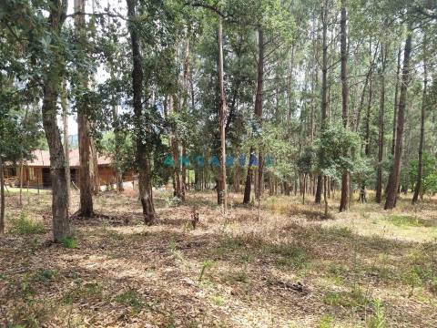 ANG1153  - Terreno para Venda em Porto de Mós