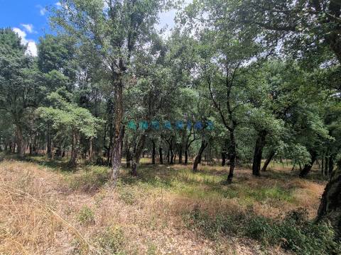 ANG1153  - Terreno para Venda em Porto de Mós