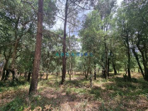 ANG1153  - Terreno para Venda em Porto de Mós