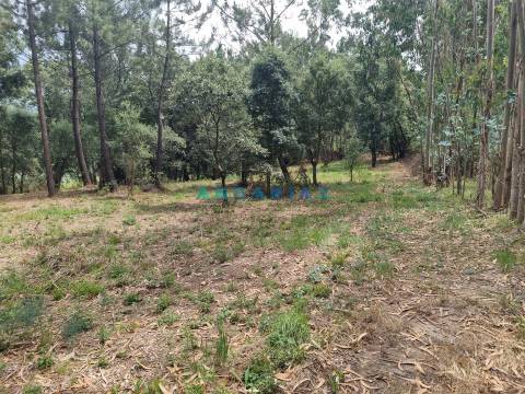 ANG1153  - Terreno para Venda em Porto de Mós