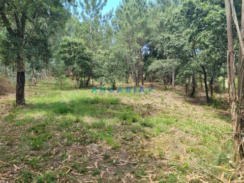 ANG1153  - Terreno para Venda em Porto de Mós