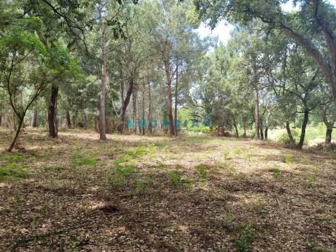 ANG1153  - Terreno para Venda em Porto de Mós