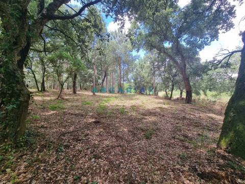 ANG1153  - Terreno para Venda em Porto de Mós