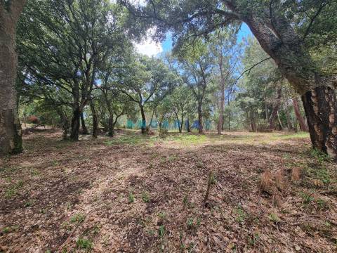 ANG1153  - Terreno para Venda em Porto de Mós