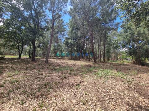 ANG1153  - Terreno para Venda em Porto de Mós