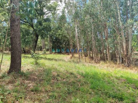 ANG1153  - Terreno para Venda em Porto de Mós