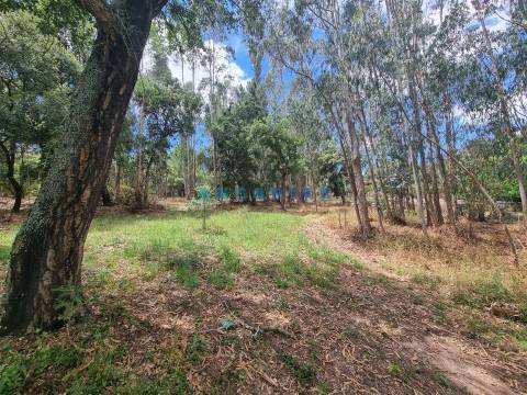 ANG1153  - Terreno para Venda em Porto de Mós