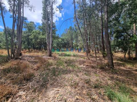 ANG1153  - Terreno para Venda em Porto de Mós