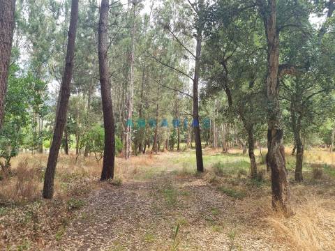 ANG1153  - Terreno para Venda em Porto de Mós