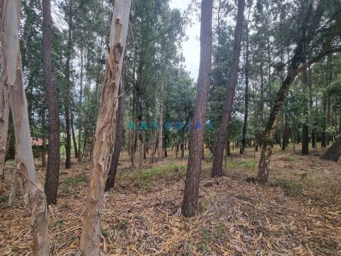 ANG1153  - Terreno para Venda em Porto de Mós