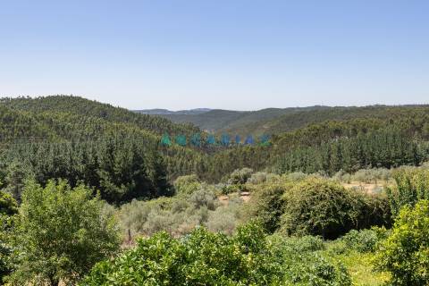 ANG1157 - Moradia T4 para venda em  Arega, Figueiró dos Vinhos