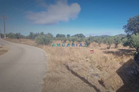 ANG1195 - Terreno para Venda em Alcanena, Santarém